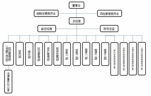 中國中車旗下46家子公司軟件開發組織架構概覽